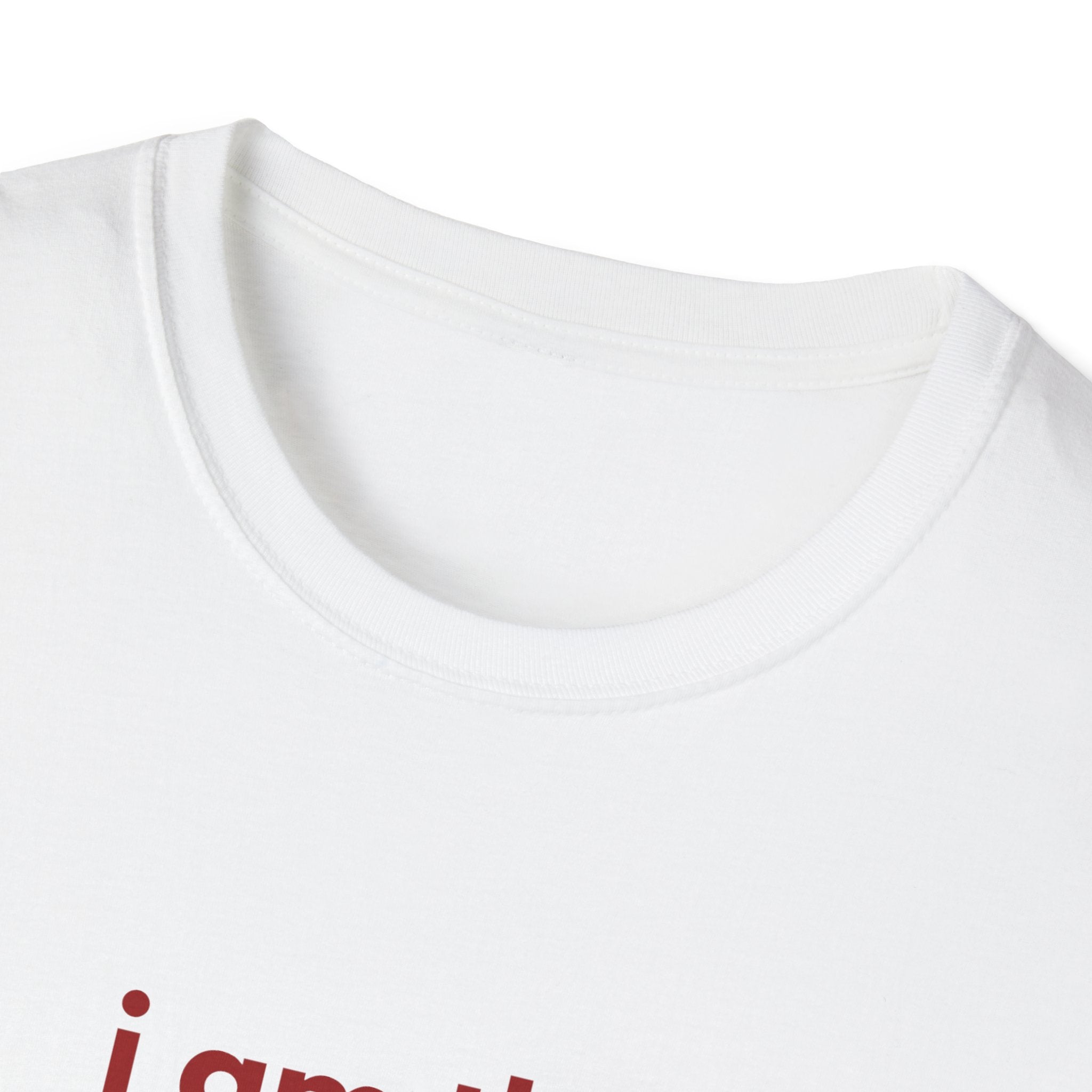 The Problem Tee